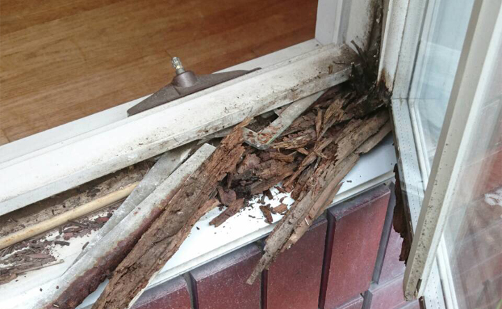 木製サッシメンテナンス3